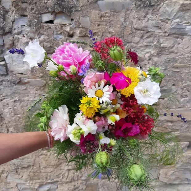 la-ferme-florale-du-s-non-premi-re-ferme-consacr-e-la-culture-de