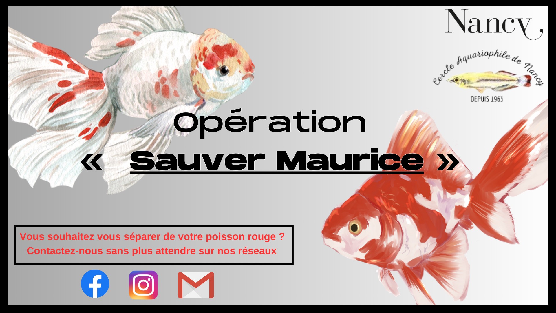 Peut être un graphique de texte qui dit ’Nancy, Aquariophiled de Nancy Cercle DEPUIS 1963 opération Sauver Maurice > Vous souhaitez vous séparer de votre poisson rouge ? Contactez-nous sans plus attendre sur nos réseaux f’