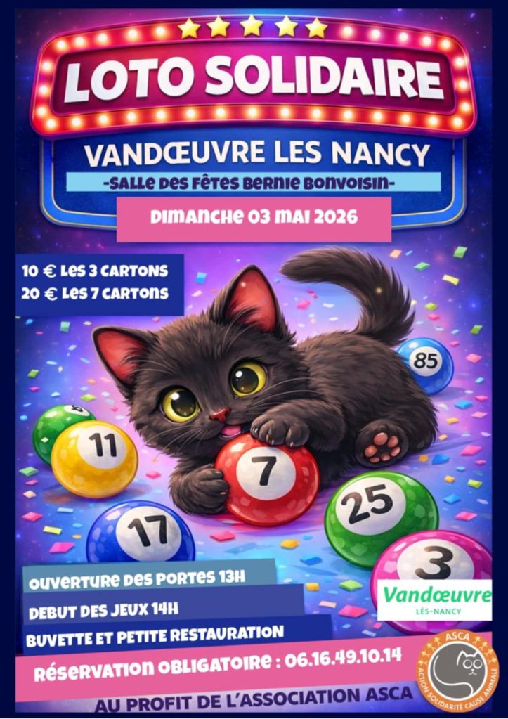 Affiche colorée pour un loto solidaire à Vandœuvre-lès-Nancy, mettant en vedette un chat mignon entouré de boules de loto. Détails de l'événement : date, prix des cartons, horaires d'ouverture et de début des jeux, ainsi que les informations de réservation.